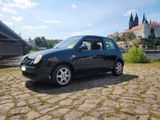 Volkswagen VW Lupo Oxford 1.4 60PS mit TÜV - Volkswagen Lupo: Oxford