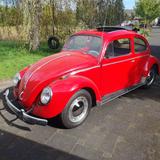 Volkswagen VW Käfer Faltdach - EZ 02/59 - restauriert - VW Käfer Gebrauchtwagen in Mönchengladbach