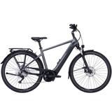 Pegasus Premio EVO 10 Lite 750 - Pegasus E-Bikes