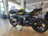 Triumph Daytona 660 Sportbike-Racing-Folierung - Offers