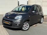 Fiat Panda Lounge*ALLWTTR*ALU*TÜV NEU* - graue Fiat Panda