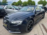 Audi A5 Cabriolet 3.0 TDI quattro - Audi A5: Cabrio, 3.0