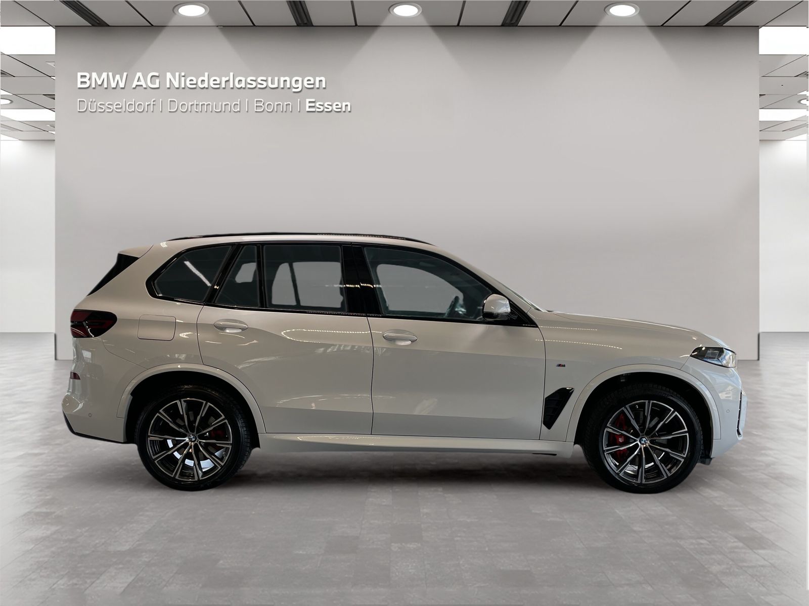 BMW X5 - Bild 7