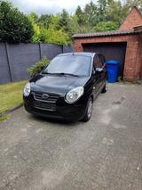 Kia Picanto - Kia Picanto in Oldenburg