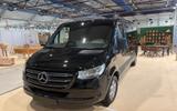 Mercedes-Benz NEU 4 Sarg Bestattungswagen / Leichenwagen