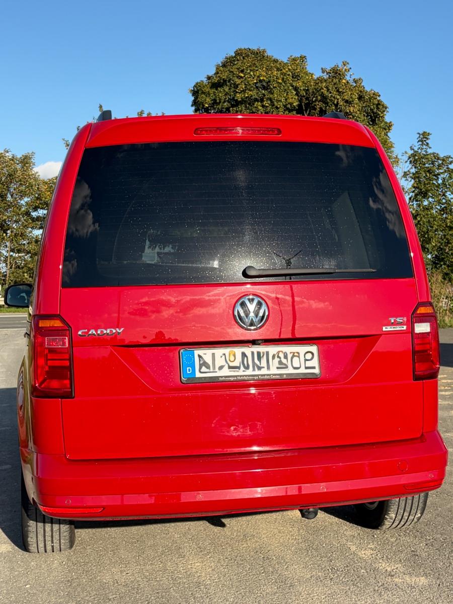 Volkswagen Comfortline 1.Hand Inspektion neu ACC Kamera AHK