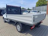 Ford Transit TREND 350 L2 EK PRITSCHE AHK / GJR - Ford Transit: Pritsche