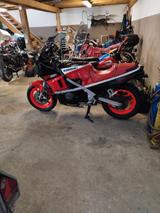 Kawasaki Gpz 600 R top Oldtimer  TÜV 11/27  - KAWASAKI OLDTIMER