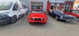 Ford Mustang 5.0 V8 1 Hand unfallfrei Shaker - Ford Mustang aus 2011: Coupe