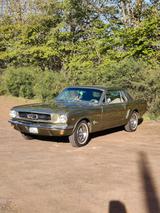 Ford Mustang - Ford Mustang in Oldenburg