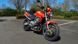 Honda 600 HORNET PC36 A - HONDA HORNET 600