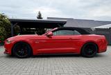 Ford Mustang 5.0 GT Cabrio V8 - Ford Mustang mit Benzin-Antrieb: Cabrio, 5.0