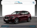 BMW X5 xDrive40d M Sportpaket Head-Up+AHK+StHz+Navi - BMW X5: Violett