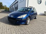 Peugeot 307 Grand Filou Cool