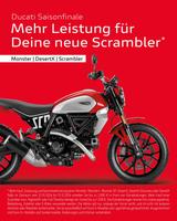 Ducati Scrambler Icon 800 Sparking Blue matt - DUCATI 800