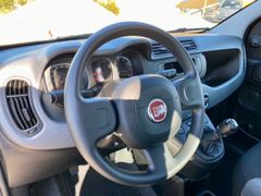 Fahrzeugabbildung Fiat Panda City Plus KLIMA SHZ ISOFIX RADIO
