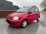 Fiat Panda - Fiat Panda Gebrauchtwagen in Wuppertal