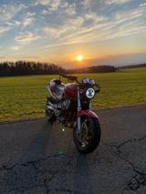 Honda CB 600F Hornet PC34 | 48PS | A2 | Brutaler Klang - Offers