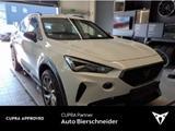 Cupra Formentor 1.5 TSI AB198EUR DAB ACC PDC - gebrauchte Cupra bis 20.000 Euro