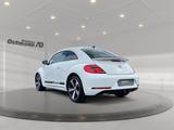 Volkswagen Beetle Sport BMT110kw TSI DSG *BiXenon*NAVI*RFK* - Volkswagen Beetle: Weiß