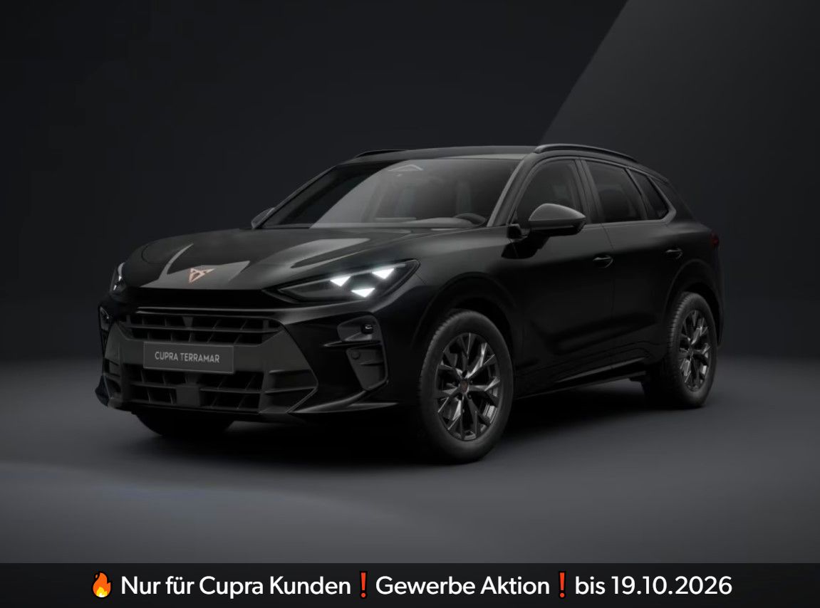 Cupra Terramar - Bild 2