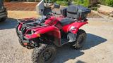 Yamaha Grizzly 660  Reifen neu, Motor komplett überholt - YAMAHA QUAD
