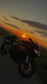 Triumph Daytona 955i - Offers