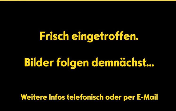 Opel Karl Rocks Klima, ZV