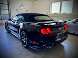 Ford Mustang 2.3 Ecoboost/ Shelby/Virtual - Ford Mustang: Schwarz, Shelby