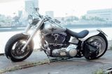 Harley-Davidson  Walz custom Umbau FLstc  Heritage Softail - Angebote entsprechen Deinen Suchkriterien