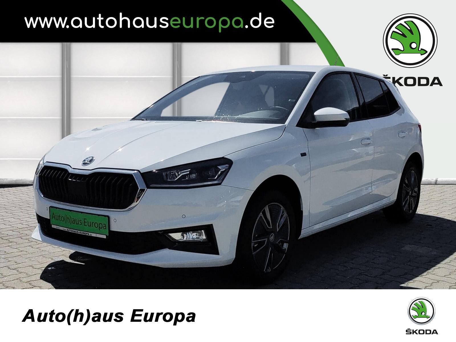 Skoda Fabia 1.0 TSI Tour 8fach bereift FLA ACC SpurH S