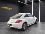 Volkswagen Beetle 1.4TSI Sport TÜV *NEU* PANORAMADACH  - Volkswagen Beetle in Wuppertal