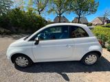Fiat 500 Cult - Fiat 500 in Kiel