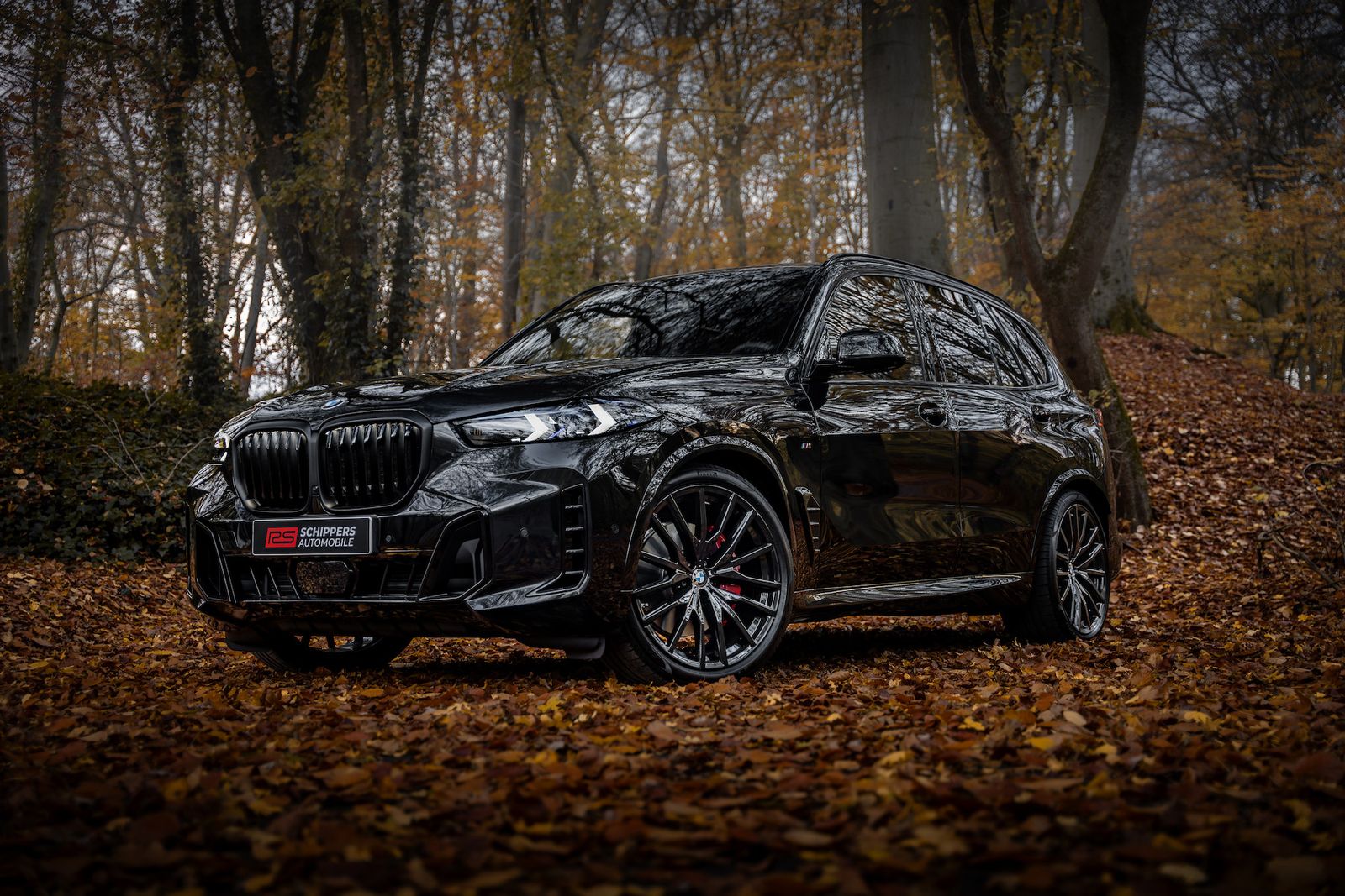 Fahrzeugabbildung BMW X5 40d xDrive M-SPORT PRO|AHK|CARBON|LUFT|ICONIC