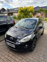 Ford Ka/Ka+ 1,2 Titanium Titanium - Ford Ka/Ka+ mit Panoramadach