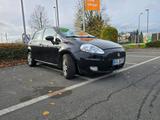 Fiat SOFORT!!! FIAT PUNTO 2010 // Gutem ZUSTAND... - Fiat Punto in Dortmund