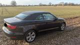 Audi Cabrio, S tronic Ambition, Xenon, Alcantara,  - Audi A3 mit Diesel-Antrieb: Cabrio, Automatik