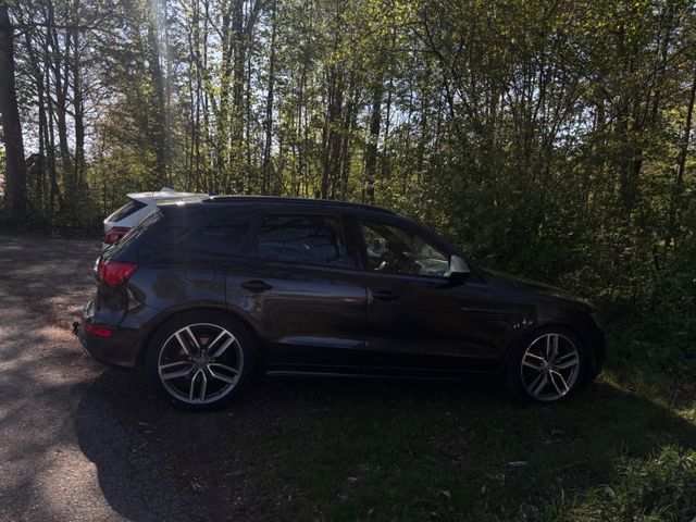 AUDI SQ5 3.0 TDI competition tiptronic quattro -