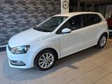 Volkswagen Polo 1.4 TDI 5p. Business BlueMotion  - Volkswagen Polo: TDI Bluemotion