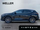Lexus NX 350h Executive Line *HUD*360°*Leder*el Heck* - Lexus aus 2023