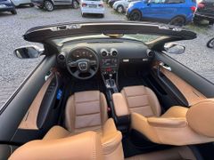 Fahrzeugabbildung Audi A3 Exclusive LEDER BRAUN BIXENON