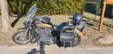 Harley-Davidson Sportster XL 1200 L - Offers matching your search criteria
