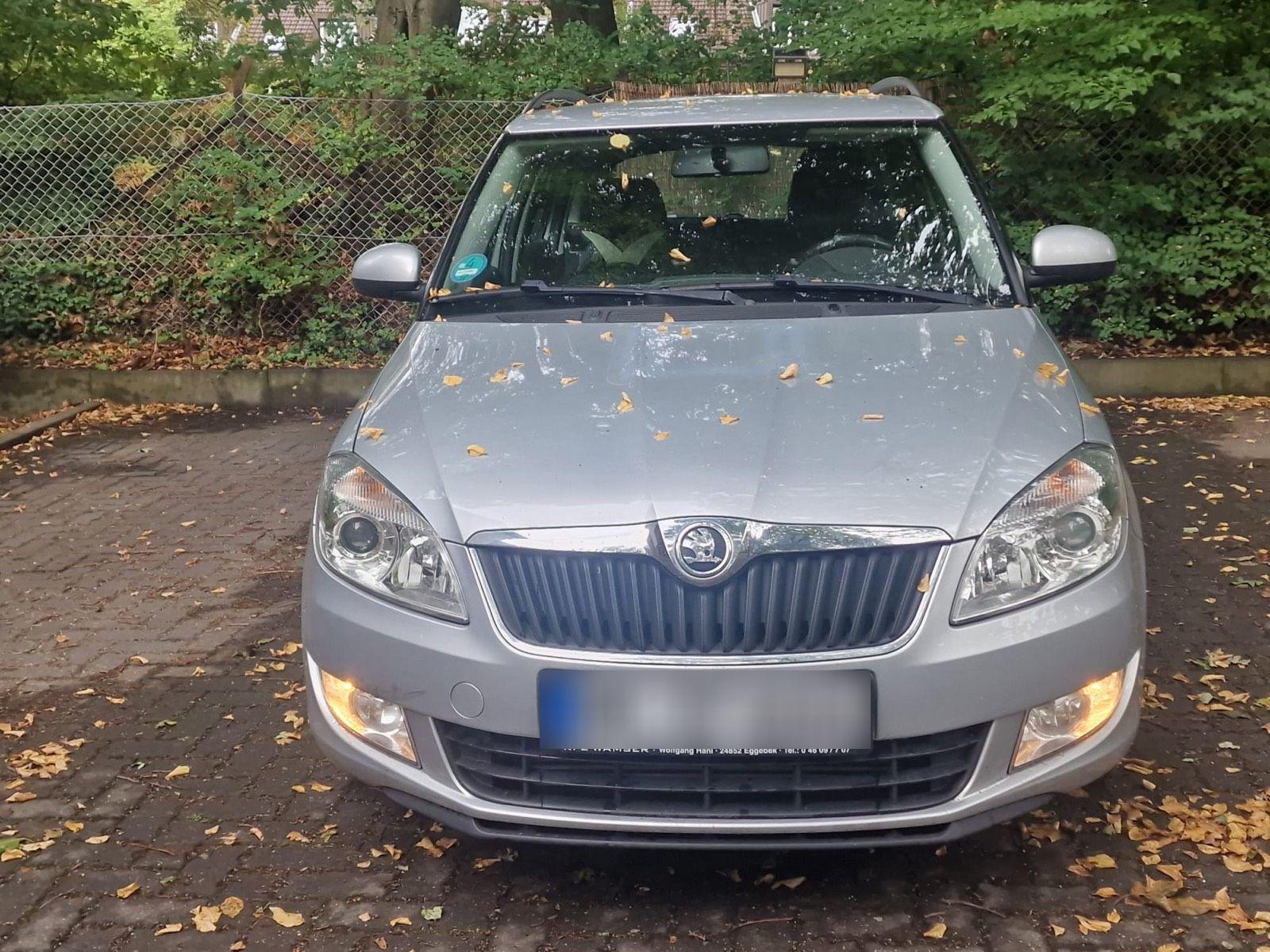 Skoda Fabia 2014 — photo 6