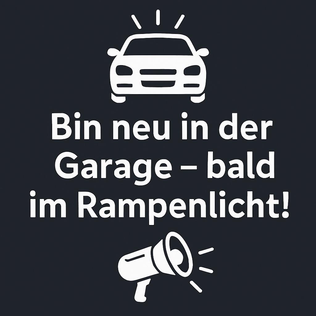 MINI One Countryman 1.6 Salt|Navi|Klima|Garantie