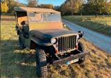 Jeep M201 Hotchkiss TÜV bis 2026 - Jeep: Hotchkiss