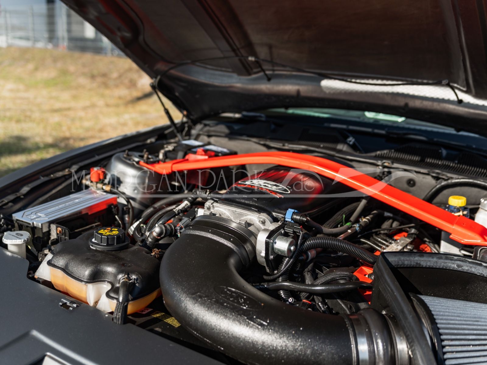 Fahrzeugabbildung Ford Mustang GT *Neidfaktor+480PS*