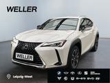 Lexus UX 250h Style Edition *Bi-LED*ACC*CAM*SHZ*CarPla - weiße Lexus UX