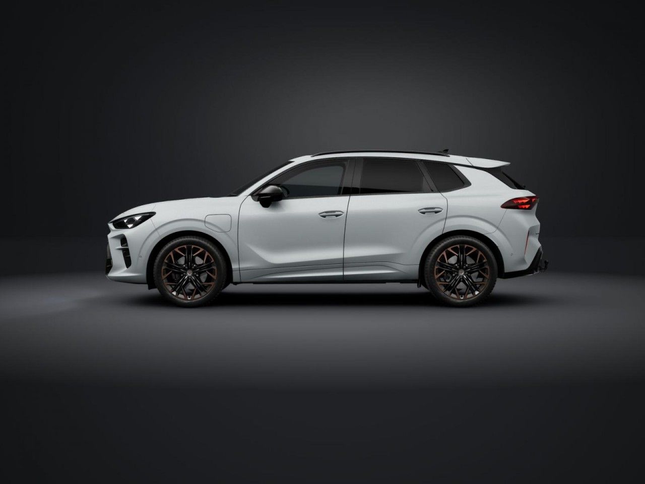 Cupra Terramar - Bild 2