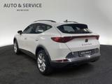 Cupra Formentor 2.0 TDI DSG 4Drive ACC|NAVI|PANO|SHZ - Cupra Formentor TDI Gebrauchtwagen