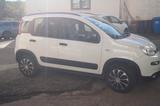 Fiat Panda Wild 4x4 / ALLRAD - gebrauchte Fiat Panda aus dem Jahr 2019